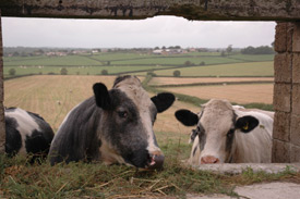 Self Catering accommodation on the Isle of Wight - Kemphill Farm, Ryde Isle of Wight